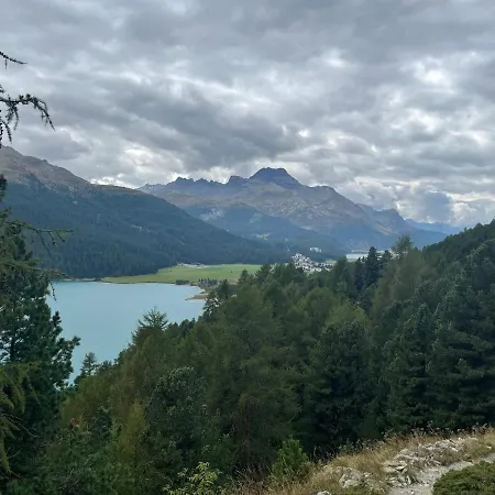 Chesa Munteratsch 1 1 2 Zimmewohnung 104 Typ D 公寓