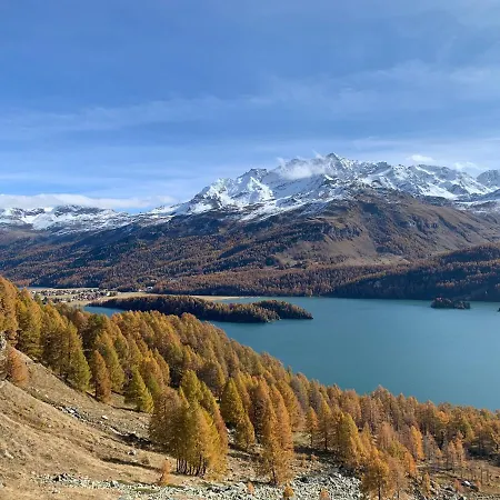 Chesa Munteratsch 1 1 2 Zimmewohnung 104 Typ D 公寓