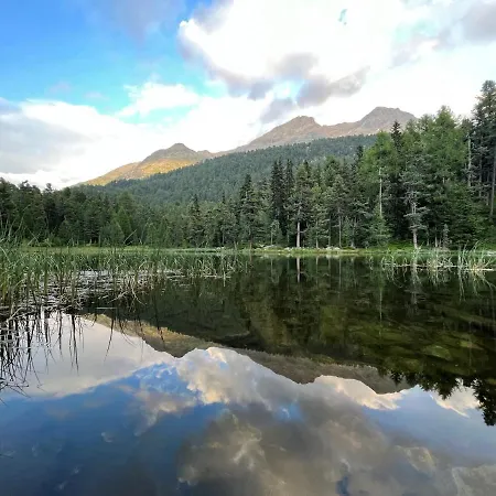 Chesa Munteratsch 1 1 2 Zimmewohnung 104 Typ D