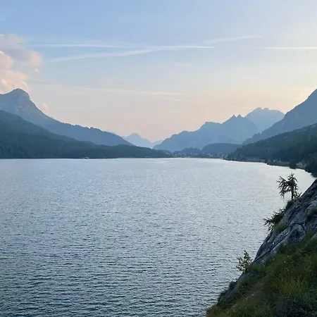 公寓 Chesa Munteratsch 1 1 2 Zimmewohnung 104 Typ D