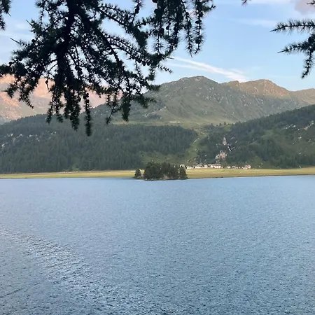 Chesa Munteratsch 1 1 2 Zimmewohnung 104 Typ D 席尔瓦普拉纳