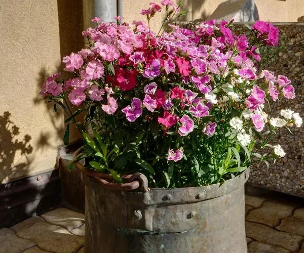 Apartman Chesa Munteratsch 1 1 2 Zimmewohnung 104 Typ D Silvaplana