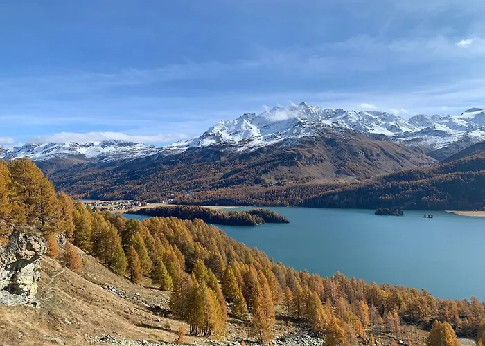 Chesa Munteratsch 1 1 2 Zimmewohnung 104 Typ D Apartman