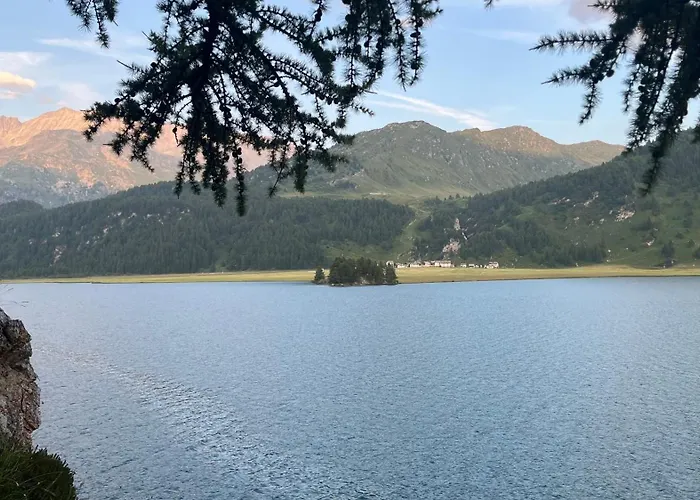 Chesa Munteratsch 1 1 2 Zimmewohnung 104 Typ D Silvaplana