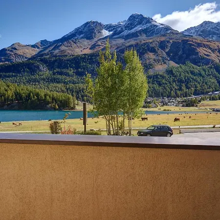 Chesa Munteratsch 1 1 2 Zimmewohnung 104 Typ D Апартаменты Сильваплана