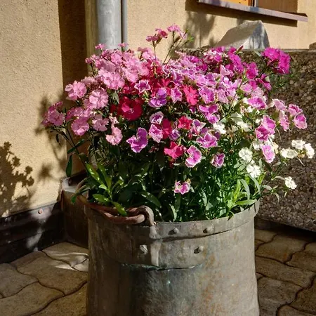 Апартаменты Chesa Munteratsch 1 1 2 Zimmewohnung 104 Typ D Сильваплана