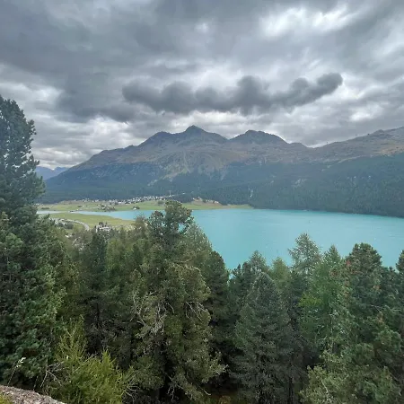 Апартаменты Chesa Munteratsch 1 1 2 Zimmewohnung 104 Typ D