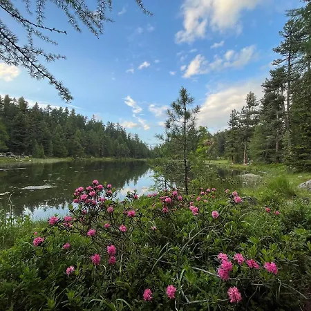 Chesa Munteratsch 1 1 2 Zimmewohnung 104 Typ D *