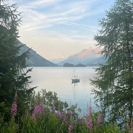 Chesa Munteratsch 1 1 2 Zimmewohnung 104 Typ D Апартаменты